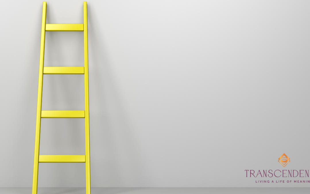 What’s At The Top of Your Ladder?